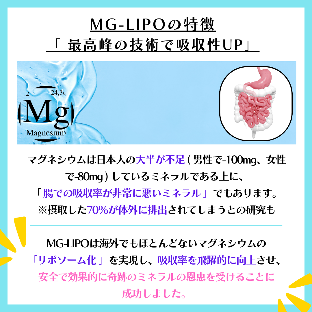 MG-LIPO ( マグリポ ) – vivie Supplements Shop
