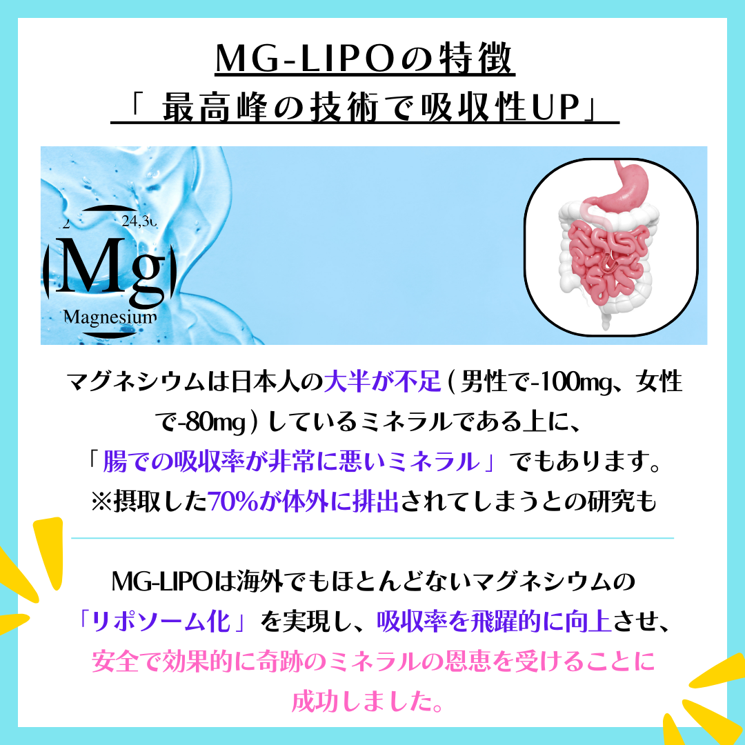 MG-LIPO ( マグリポ )